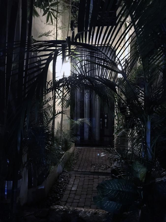 Colonia Americana Two Level Loft 瓜达拉哈拉 外观 照片